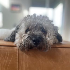 Meet your Posher, Karla